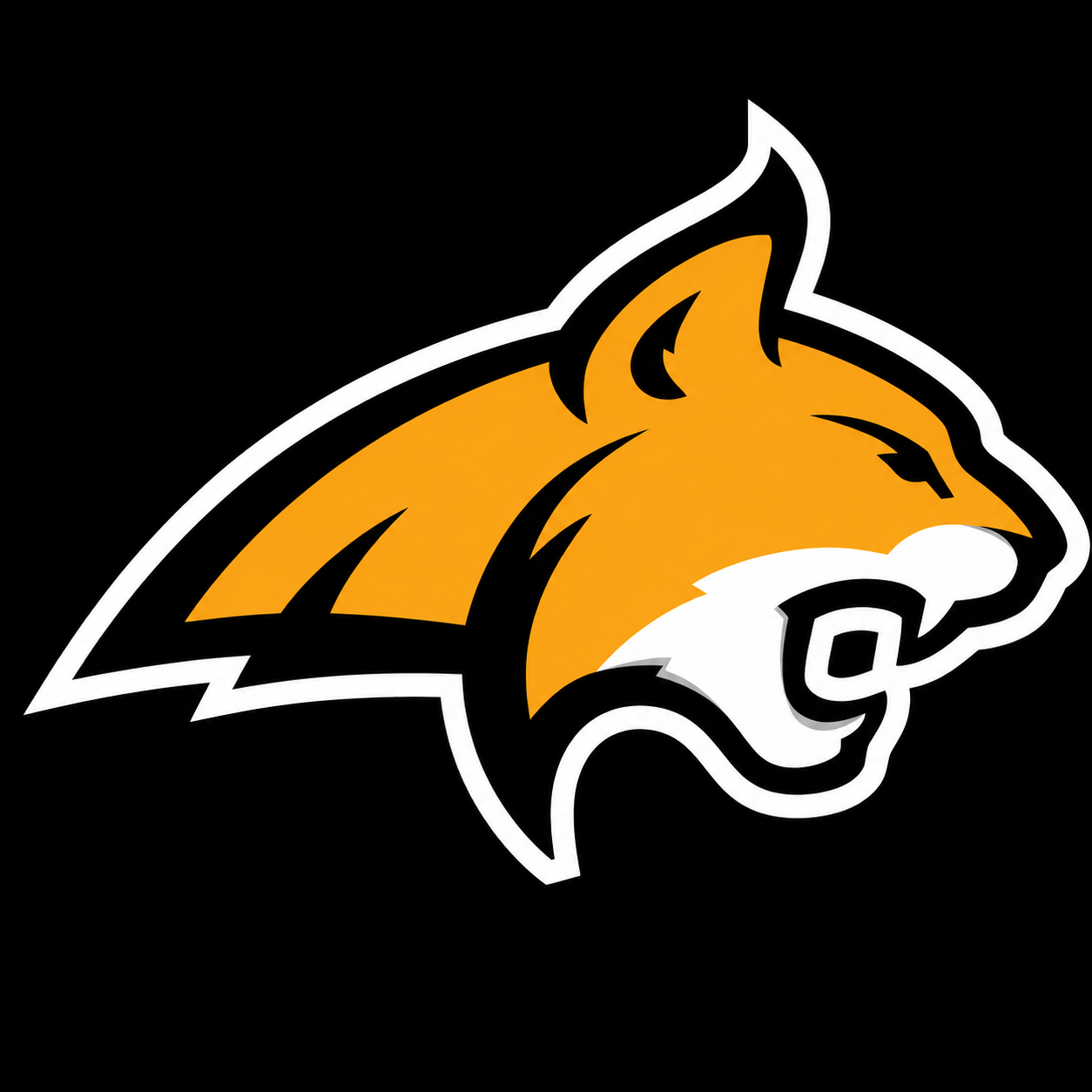 OHTP Bobcats logo